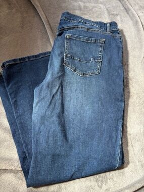 Maurices High Rise Short Bootcut Size 20W